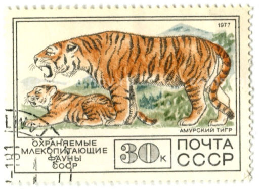 Марка Охраняемые млекопитающие фауны СССР Морж 1977 год