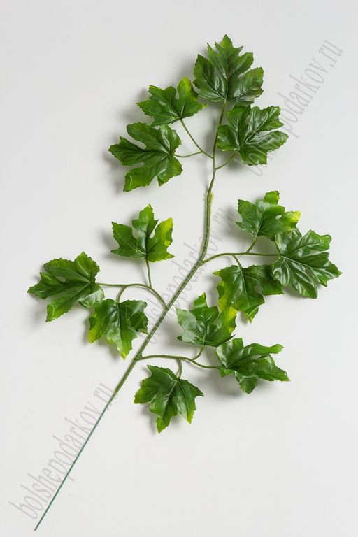 Веточка листьев Клен (12 шт) SF-128, зеленый