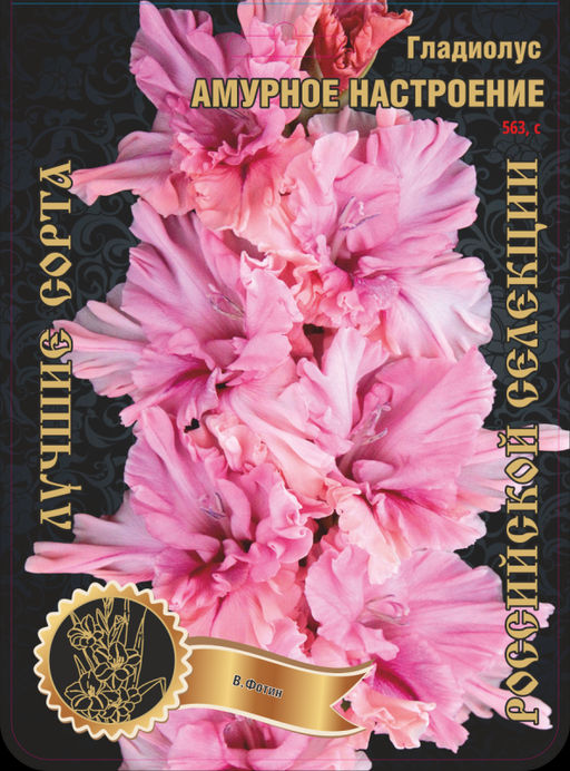 Гладиолус Амурное Настроение 563,Фрези 1 р-р 7шт (Ф)