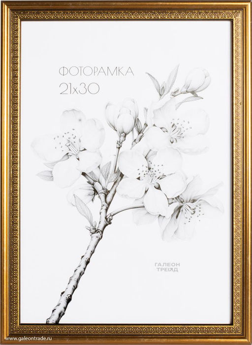 Фоторамка 21x30 / KS2015-1 /уп10 - ГалеонТрейд фото 2