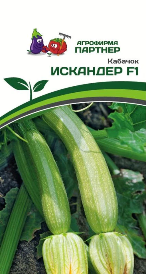 Кабачок Искандер F1
