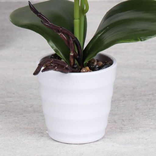 Цветочная композиция Орхидея 31 см / LM-797 /уп 72/ - Галеонтрейд фото 10