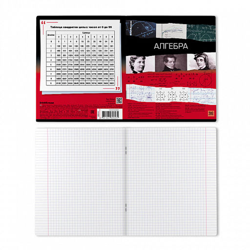 Цена за 5 шт. Тетрадь общая ученическая ErichKrause Timeline, Алгебра, 36 листов, клетка  фото 2