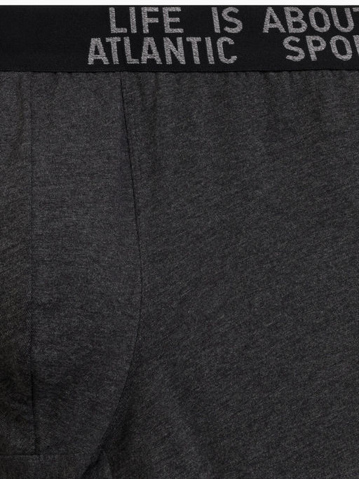 ATLANTIC 3MH-226 Трусы шорты Melange - набор 3 шт. темно-серый меланж + медно-багряный меланж + коричневый меланж  фото 8