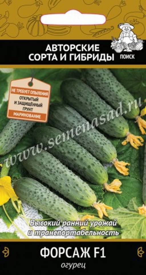 Огурец Форсаж F1 (А) (ЦВ) 12шт. - Поиск фото 2