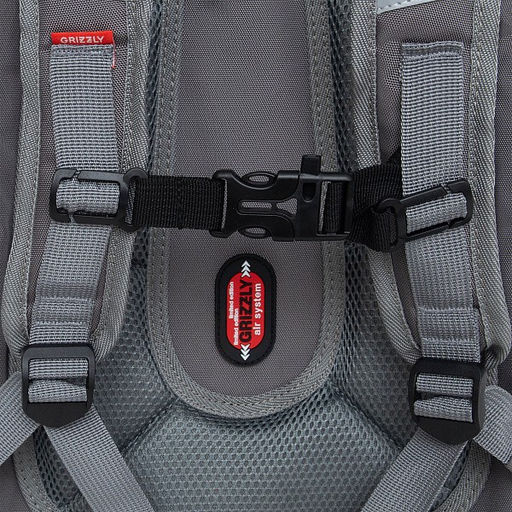 RAf-493-2 Рюкзак школьный - Grizzly фото 48