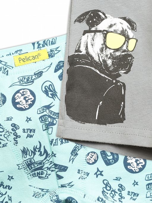 BUHB3222(2шт. в упаковке) трусы для мальчиков - Pelican фото 2