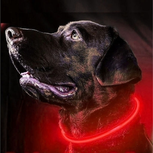 Ошейник неоновый для собак средних пород "Защита Бро", цвет красный, зарядка от USB, шнур в комплекте, размер M - d 50см (пакет с подвесом)