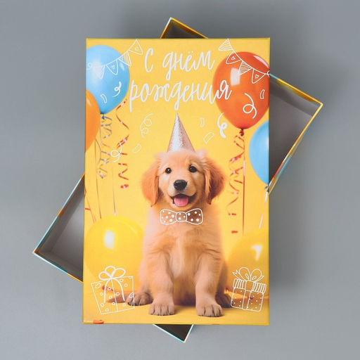 Коробка подарочная прямоугольная, упаковка, «С днём рождения», 24×15.5×9.5 см