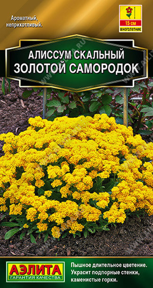 1160A Алиссум Золотой самородок 0,05гр