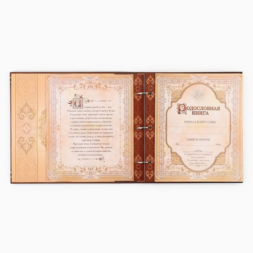 Родословная книга с рамкой под фото «Семейная летопись», 50 листов, 21.5×23.7 см
