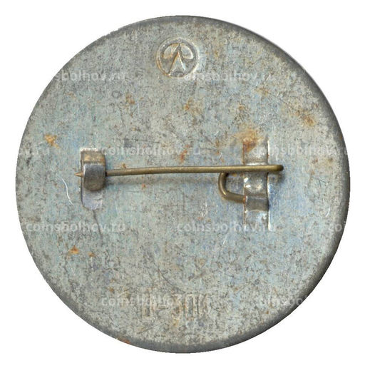 Значок Павильон К.Росси в Михайловском саду