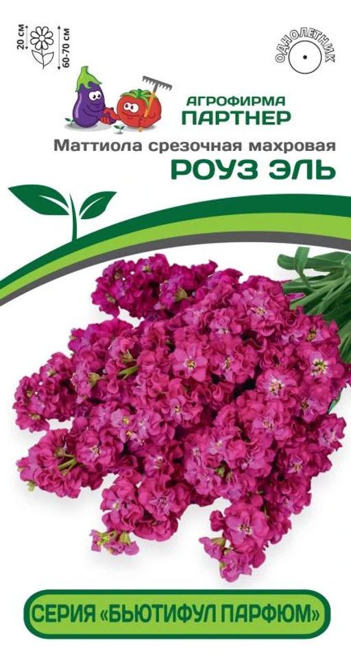 Маттиола срезочная махровая Бьютифул Парфюм Роуз Эль - Партнер фото 2