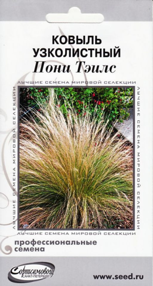 Ковыль узколистн.Пони Тэилс