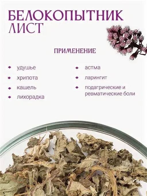 Белокопытник лист - Травы горного крыма фото 2