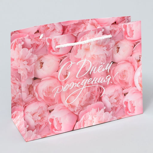 Цена за 2 шт. Пакет подарочный ламинированный, упаковка, «С Днём рождения!», MS 23 х 18 х 8 см