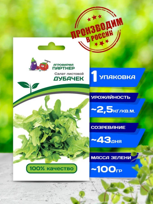 Салат дуболистный Дубачек