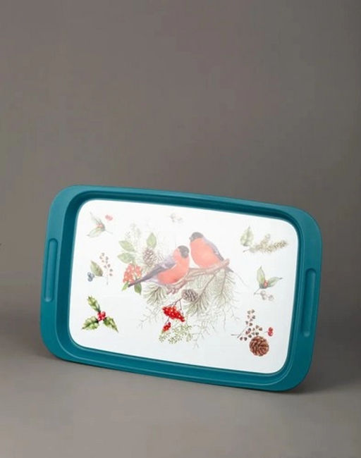 СНЕГИРИ - поднос малый 430*268*20мм - Полимербыт фото 2