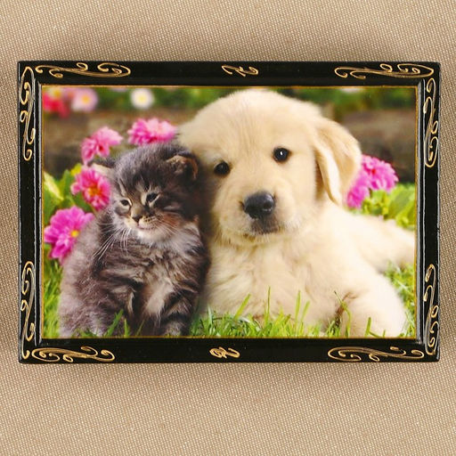 Шкатулка Животные, 10?14 см, лаковая миниатюра, микс - Simaland фото 8