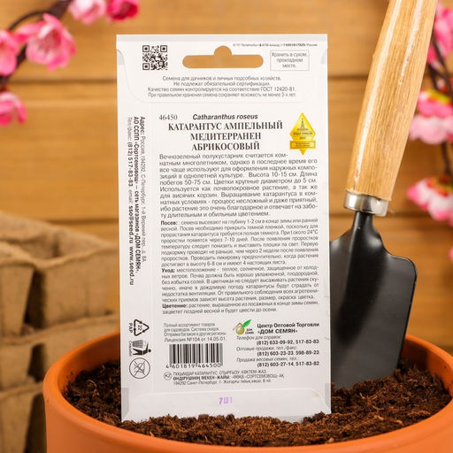 Семена цветов Катарантус амп. Медитерранен, абрикосовый, 7 шт