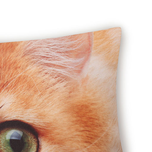 Подушка декоративная Этель Золотистая шиншилла 40х40 см, габардин, 100% п/э  фото 2