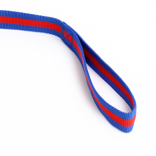 Поводок 3 м х 3 см, сине-красный - Пижон фото 3