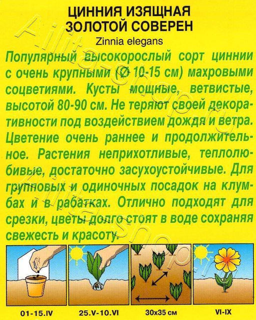 Цинния Золотой Соверен георгиновидная 0,3г (Аэлита)