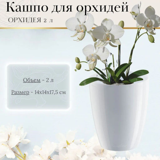 Горшок для цветов ОРХИДЕЯ 2л, БЕЛЫЙ (ОРХ 2 БЕЛ) /Крассула/