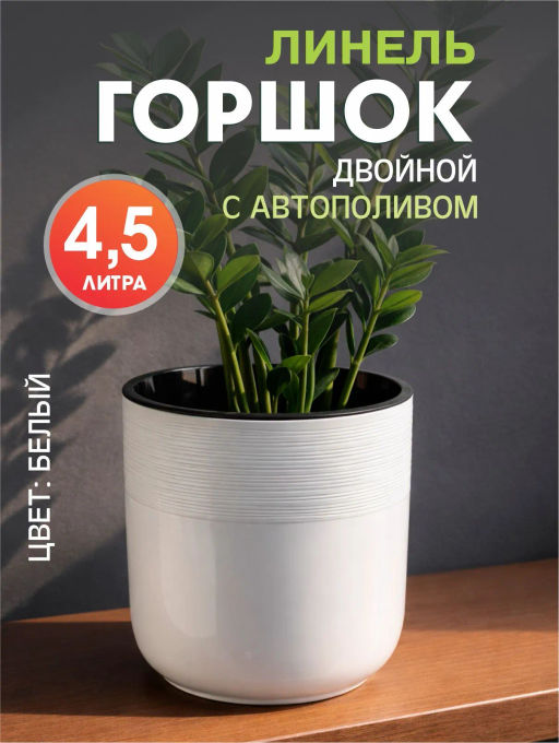 Товар дня
