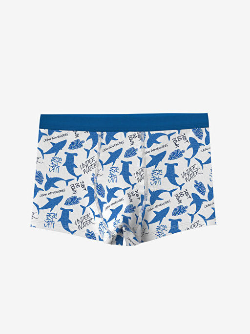 Bask?l? Erkek ?ocuk Boxer 3l? - Waikiki фото 3