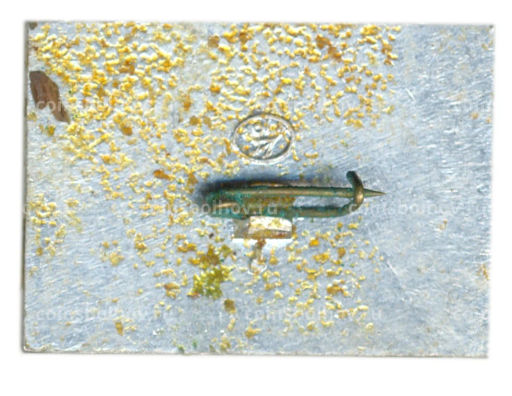 Значок Коломенское