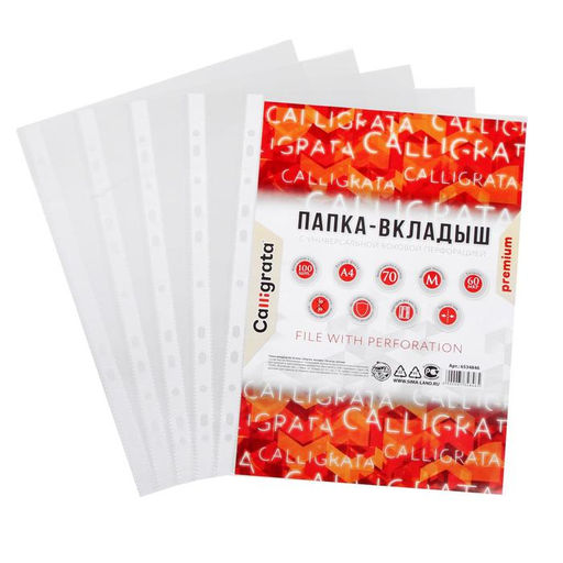 Файл - вкладыш Calligrata, А4, 60 мкм, плотные, матовый, вертикальный, 100 штук  фото 2