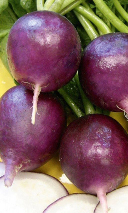 Редис ВИОЛЕТТА  Серия вкуснятина! Экзотический цвет! Мякоть сочная, нежная, хрустящая! - Уральский дачник фото 2