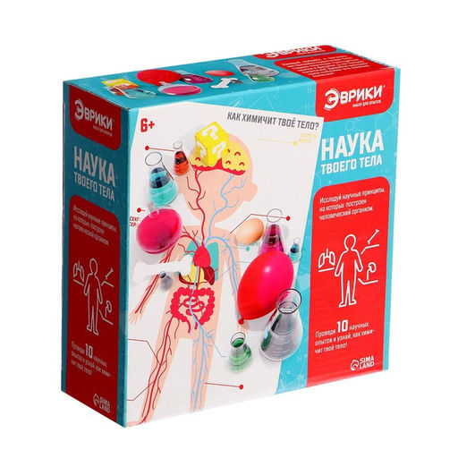 Набор для опытов «Наука твоего тела», 10 опытов