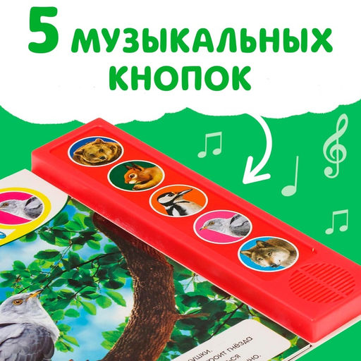 Музыкальная книга Звуки леса, 10 стр. - Буква-Ленд фото 7
