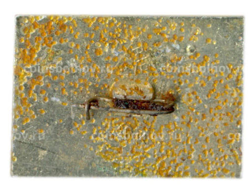 Значок Владимир