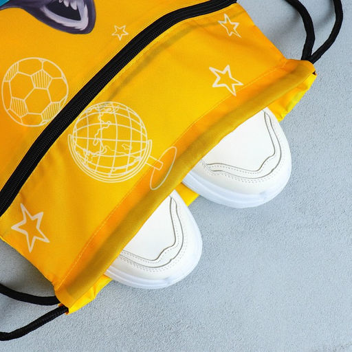 Сумка для обуви Учусь на 5!, 2 секции, 41х31 см - Artfox study фото 6