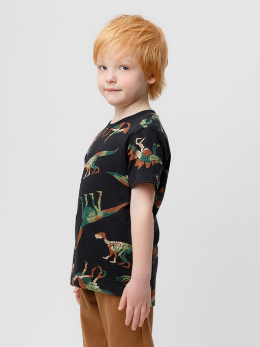 КР 301858/черный,динозавры фуфайка для мал