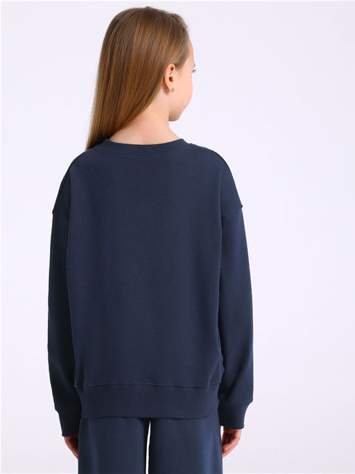 Свитшот 1ДДСД4796067