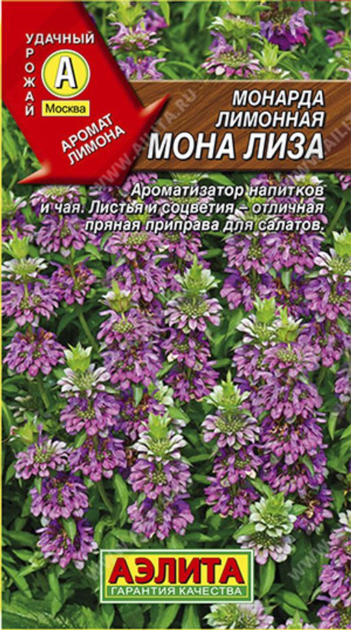 Монарда лимонная Мона Лиза ---