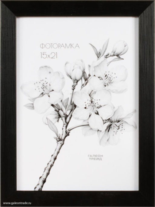 Фоторамка 15х21 / ZR208B-22 /уп10 - Галеонтрейд фото 2
