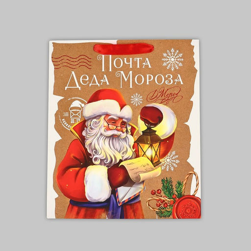 Пакет подарочный новогодний ламинированный «Почта Деда Мороза», ML 23×27×11.5 см