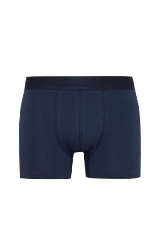 Regular Fit 3lu Boxer