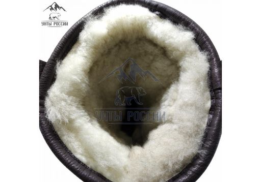 Сапоги Монголки натуральная кожа высокие коричневые, литая подошва