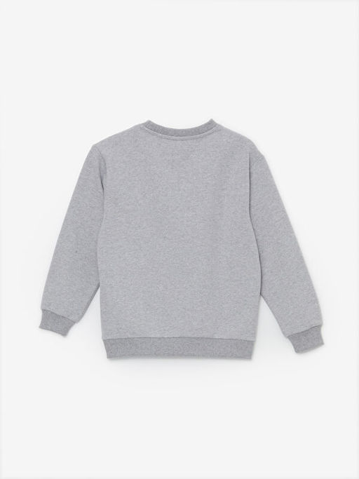 Bisiklet Yaka Bask?l? Uzun Kollu Erkek ?ocuk Sweatshirt - Waikiki фото 2