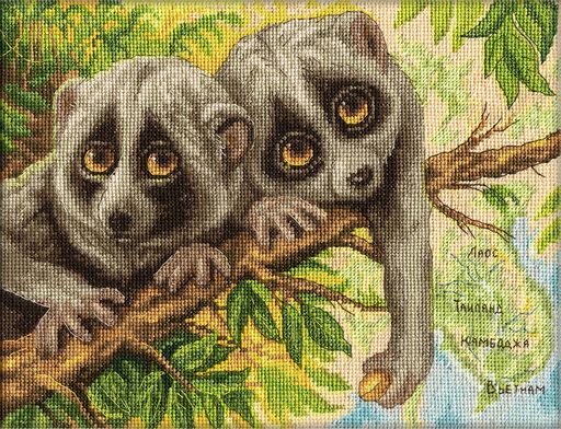 Набор для вышивания PANNA J-1790 Скромные лори 24 х 18 см