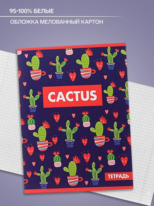 Цена за 4 шт. Тетрадь 48 листов в клетку, Calligrata «Кактус», МИКС