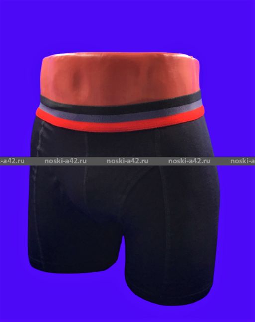 Цена за 1 шт. Боксеры трусы мужские Турция арт. 2066-6 L (48-50) - Астекс фото 3
