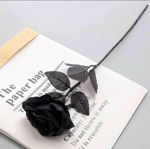 Роза черная одиночная Total Black / Высота 45 см.