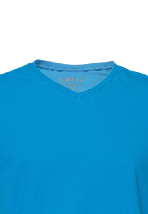 Футболка мужская короткий рукав GREG TS524V (голубой)  фото 4